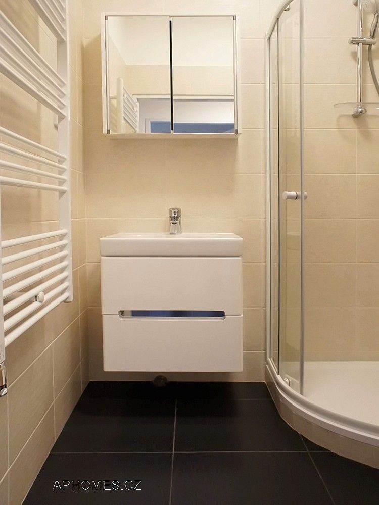 Pronájem byt 1+1 - Praha - Žižkov, okres Praha 3, Hlavní město Praha, 50 m² - 5