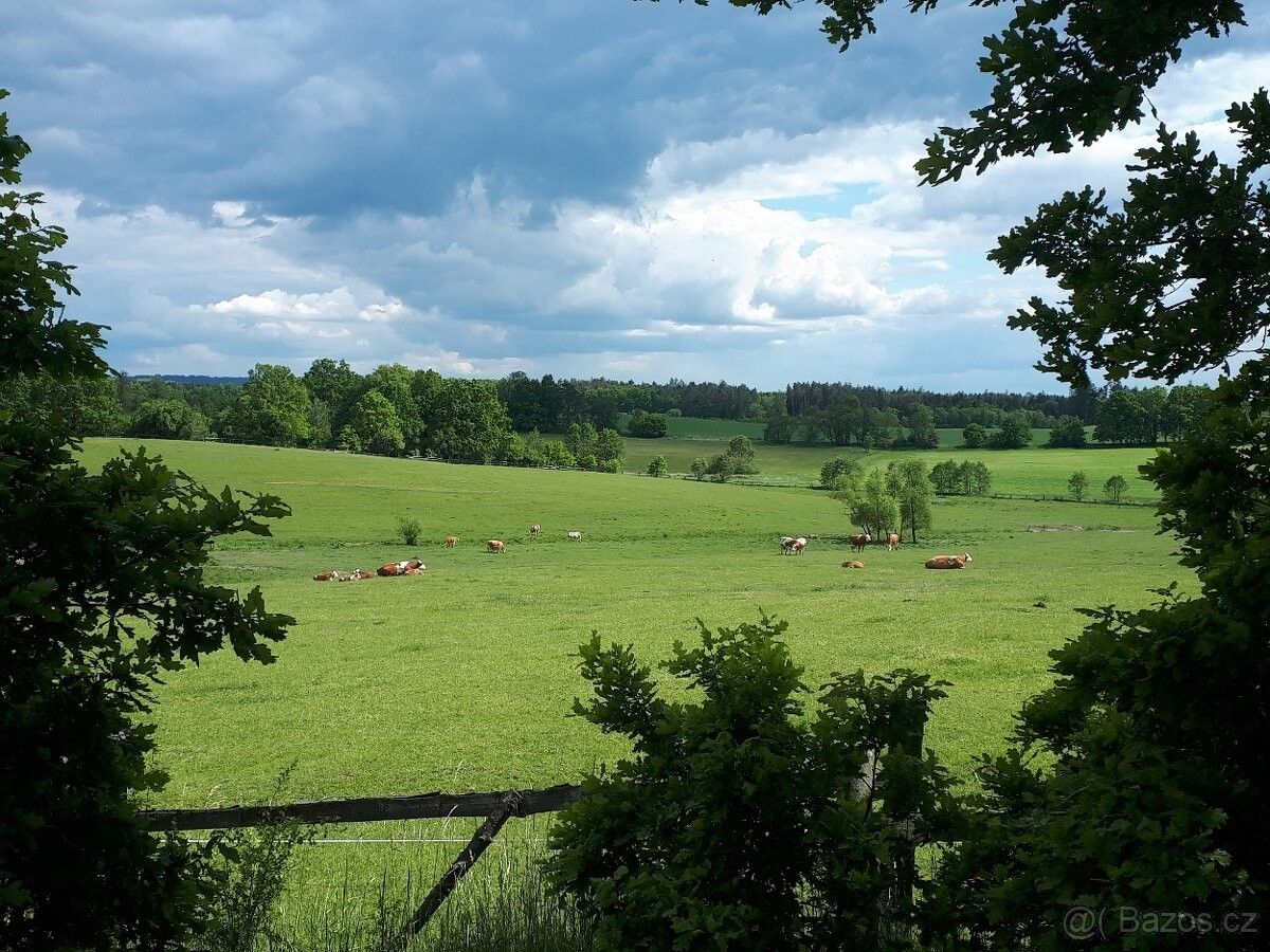 Pozemky pro bydlení, Bořetín, 394 70