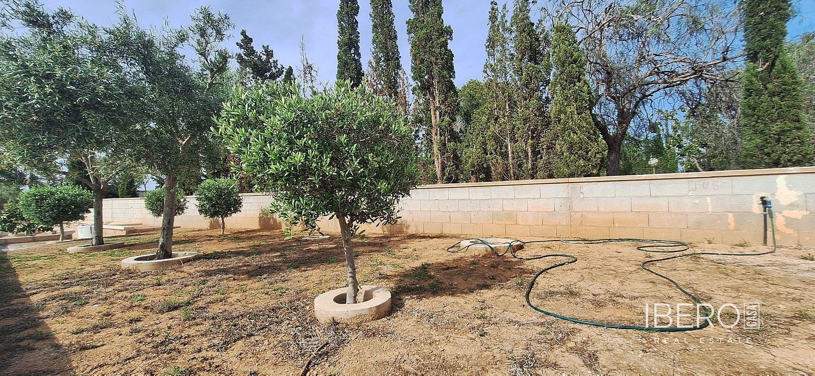 Rodinný dům · 145 m² · Elche, ES - 3