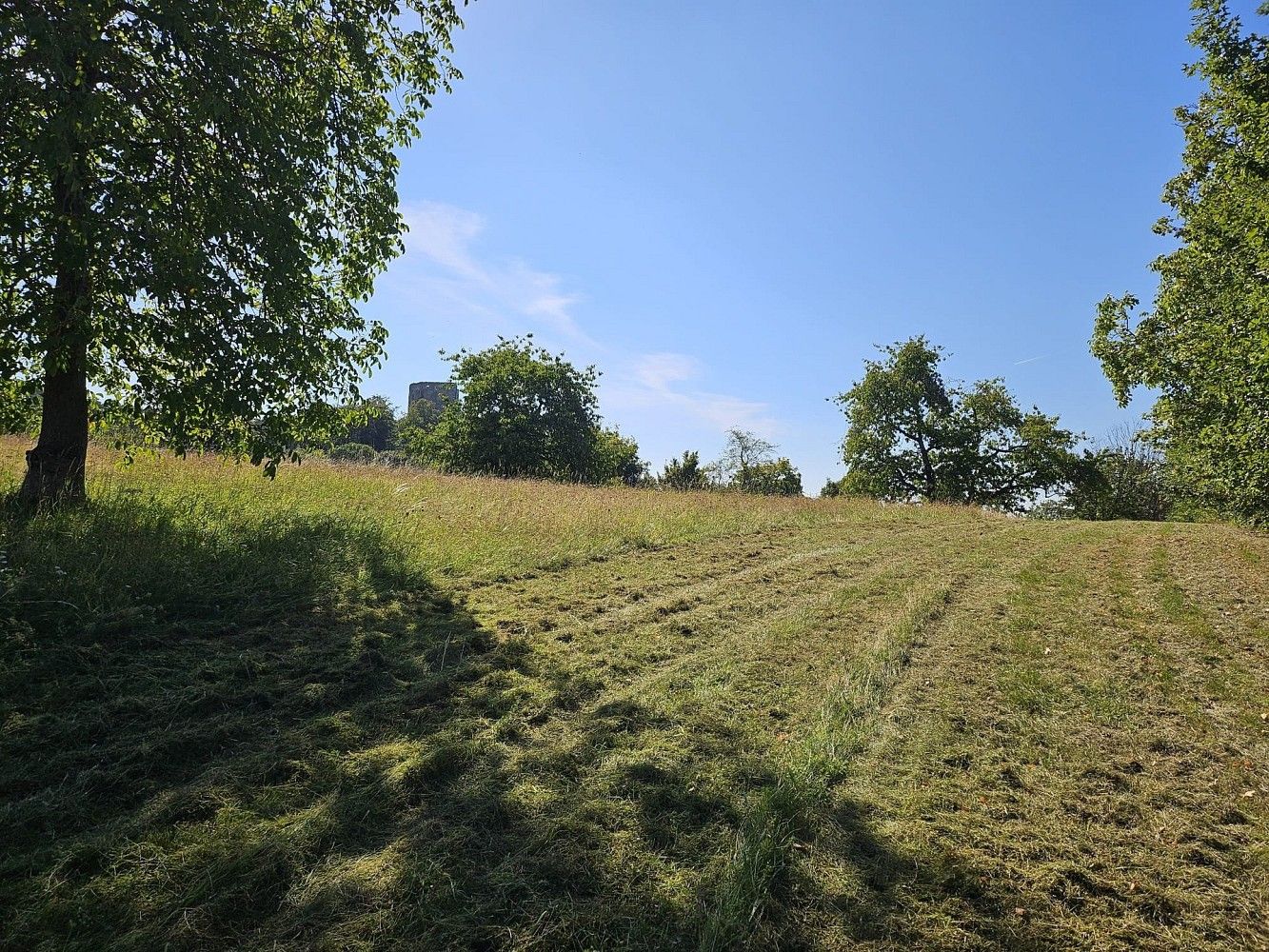 Zemědělský pozemek · Boseň - Zásadka, okres Mladá Boleslav, Středočeský kraj - 4