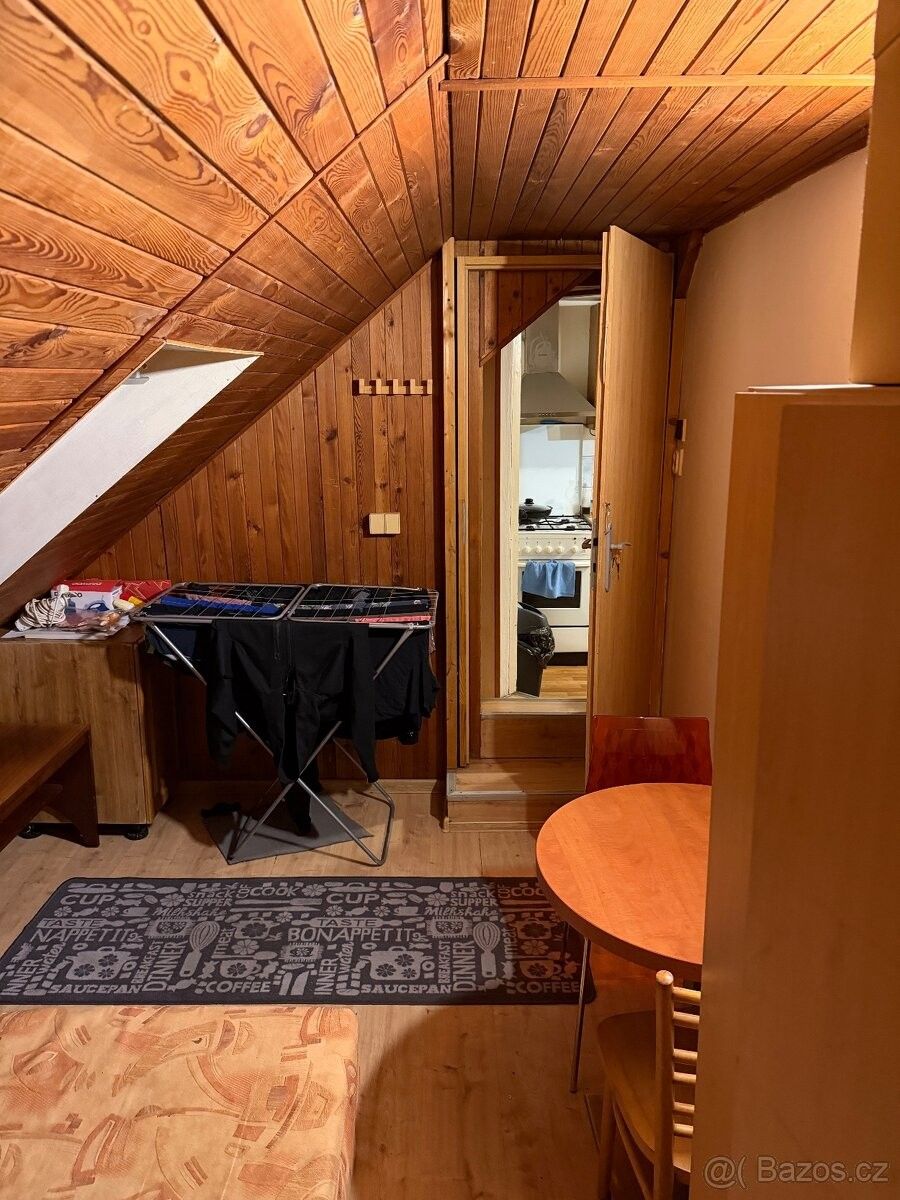 Pronájem byt - České Budějovice, 370 01