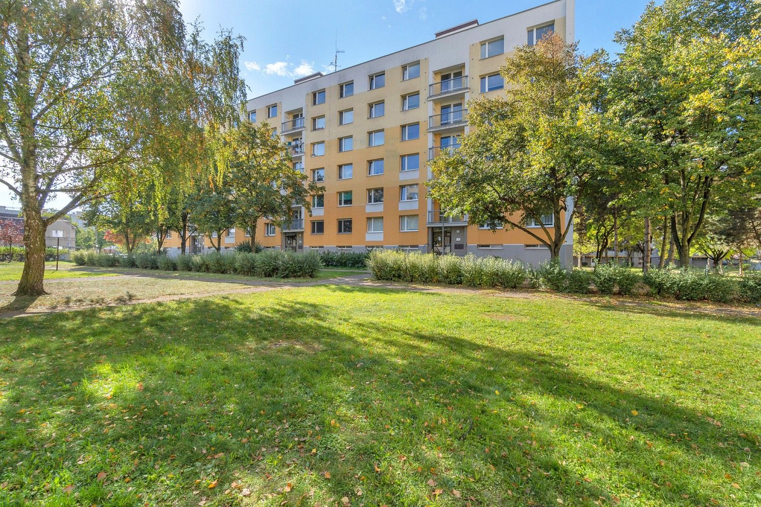 1+1, Selicharova, Hradec Králové - Nový Hradec Králové, 34 m² - 1