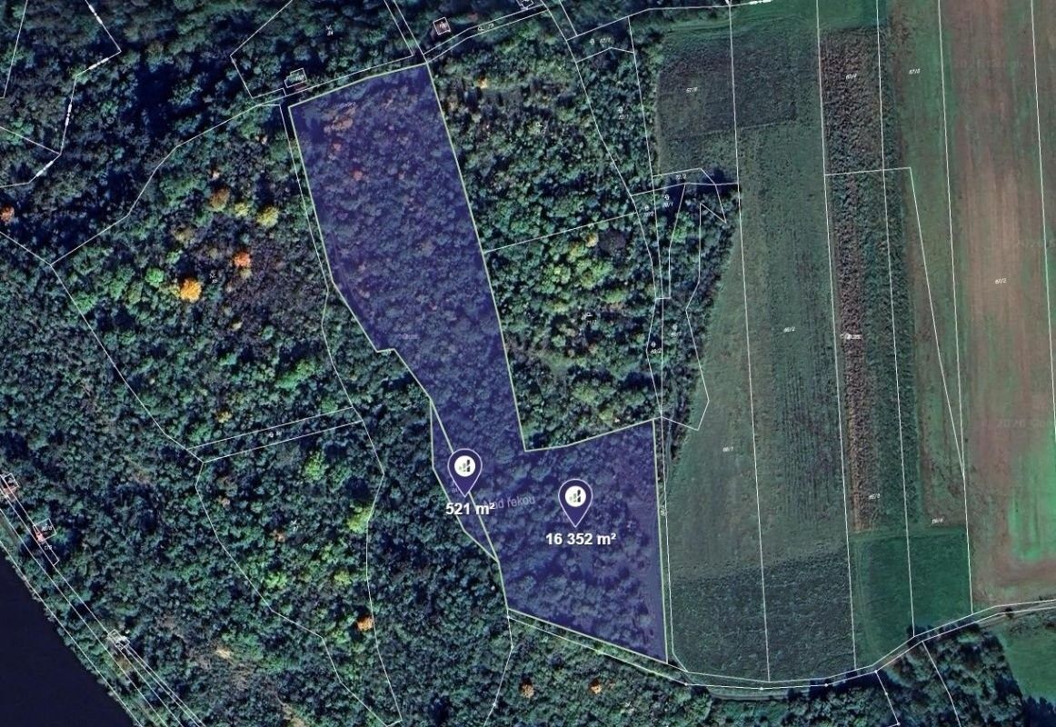 Louky, Máslovice, 7 030 m²
