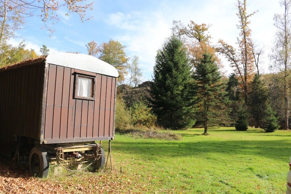 Pronájem zahrada - Trhové Sviny, 374 01