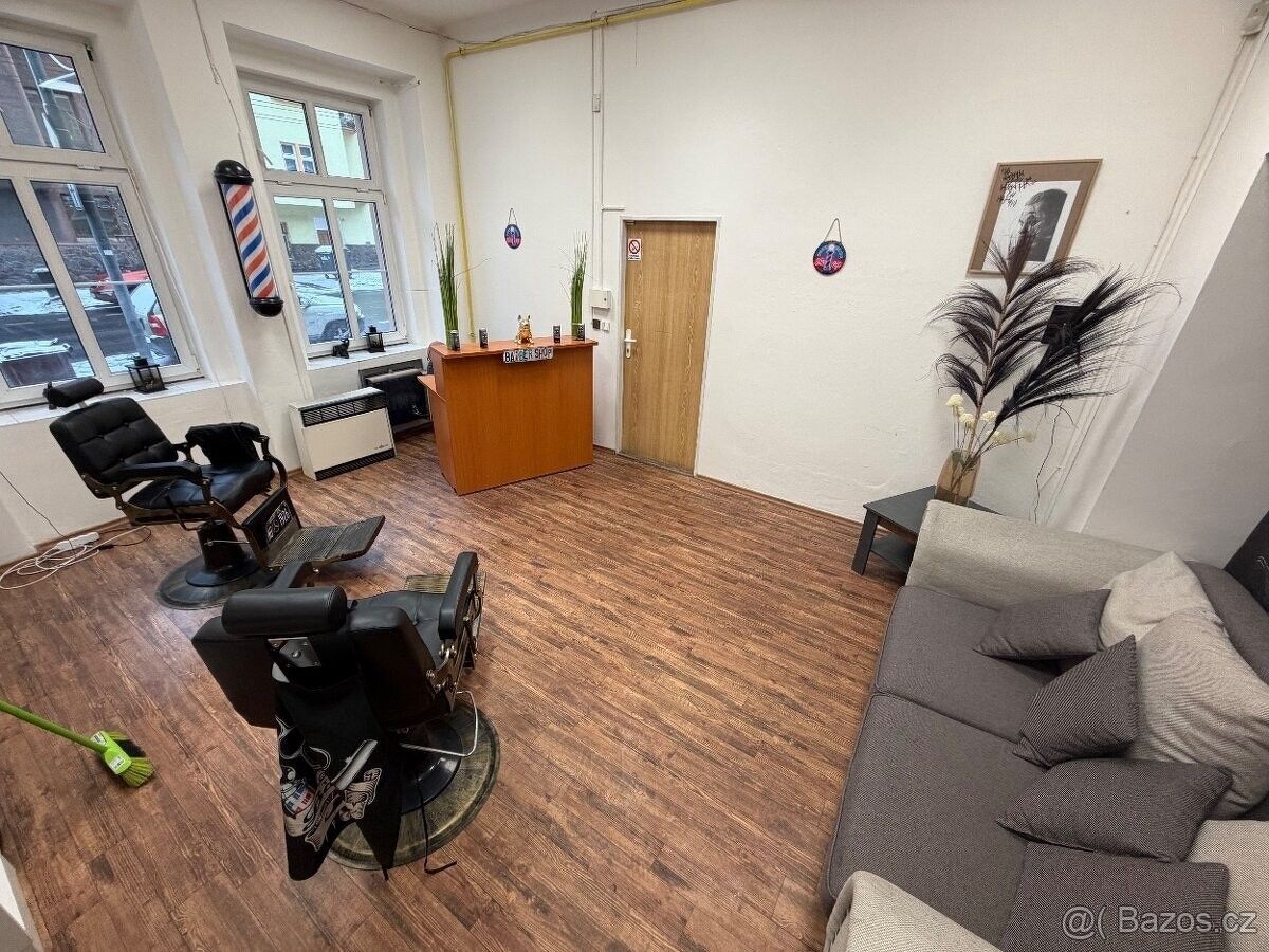 Obchodní prostory, Teplice, 415 01