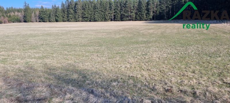 Pozemky pro bydlení, Tachov, 347 01