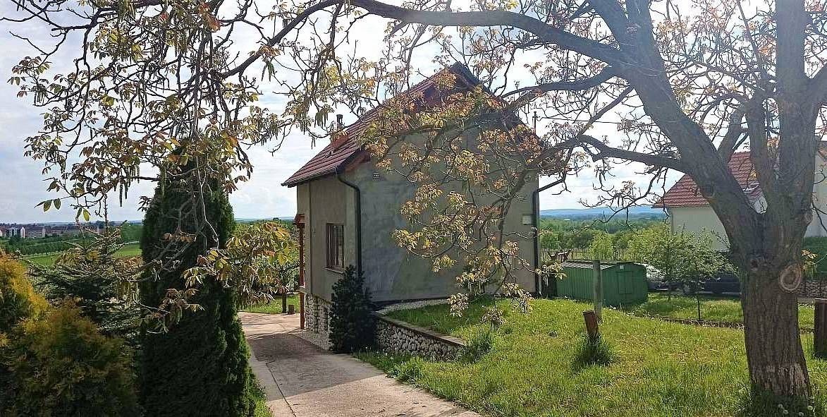 Chaty, Velké Bílovice, Jihomoravský kraj - 2