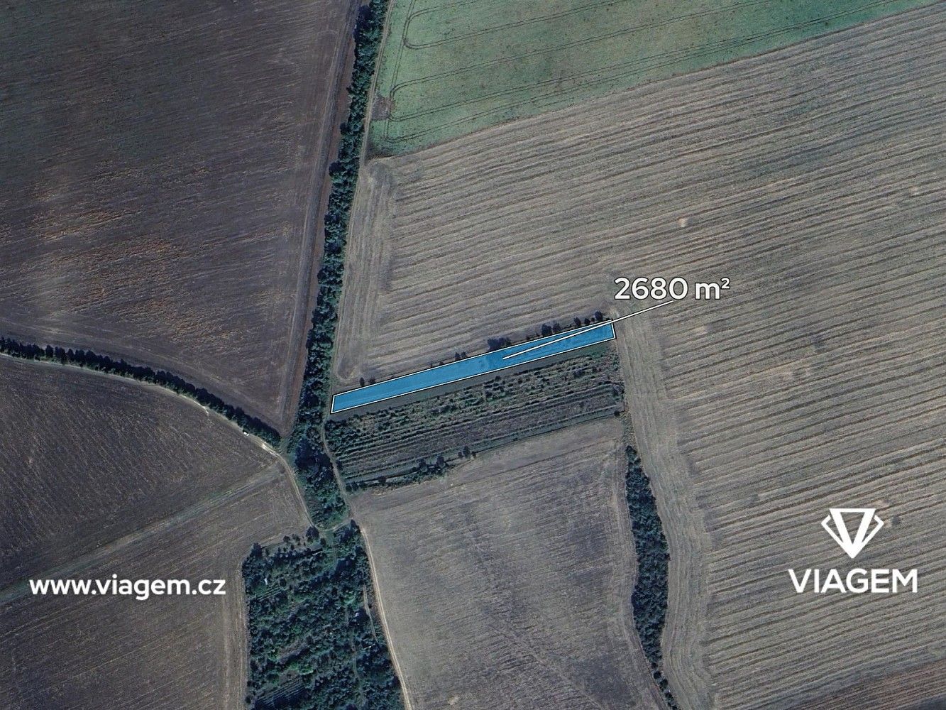Zahrada · Tvarožná Lhota, okres Hodonín, Jihomoravský kraj - 3