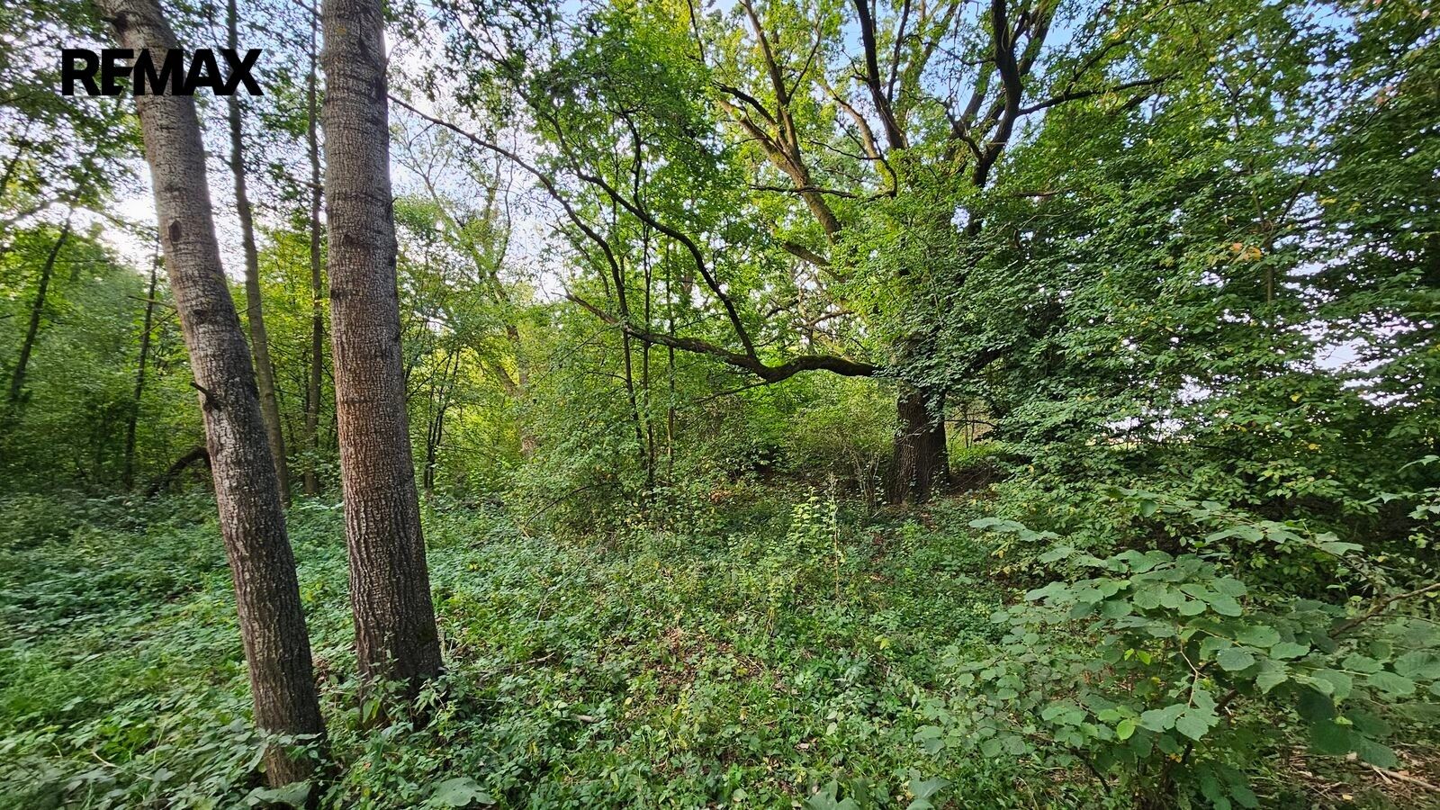 Zahrada · 2 997 m² · Roudné - 3