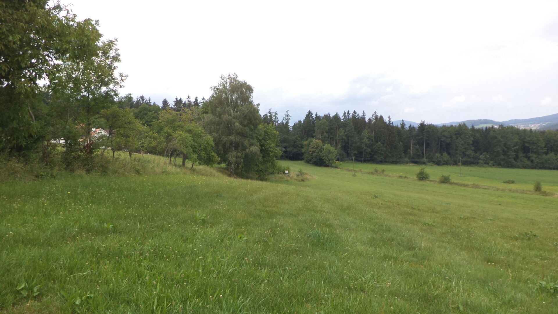 Prodej pozemek - Holubov, 5 987 m² - 2