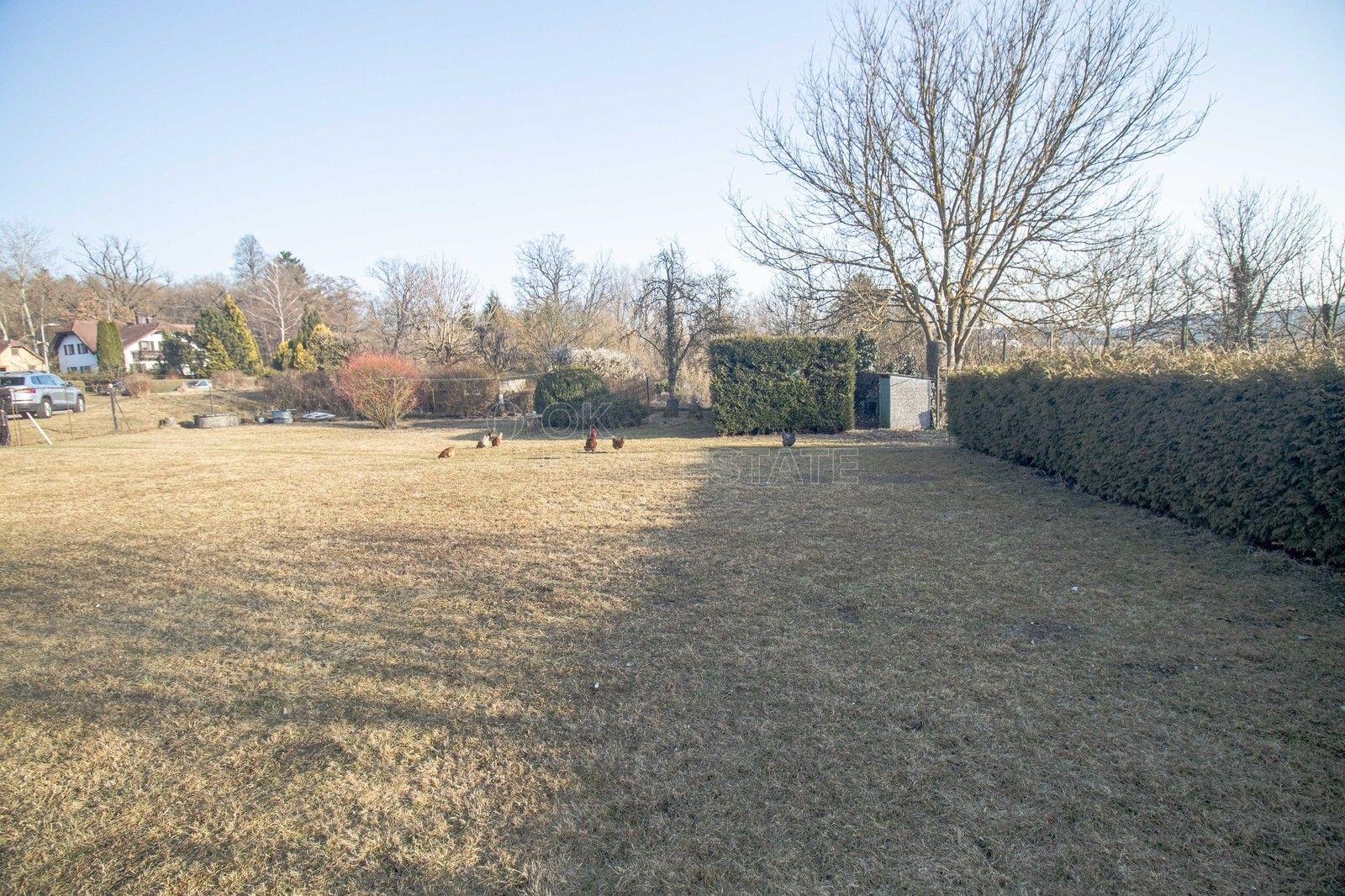 Pozemky pro bydlení, Horní Dvořiště, 1 041 m² - 2