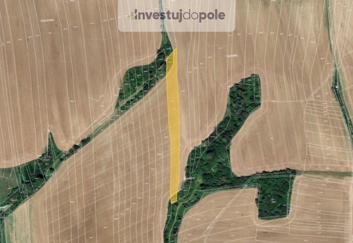 Zemědělské pozemky, Zborovice, 5 441 m²