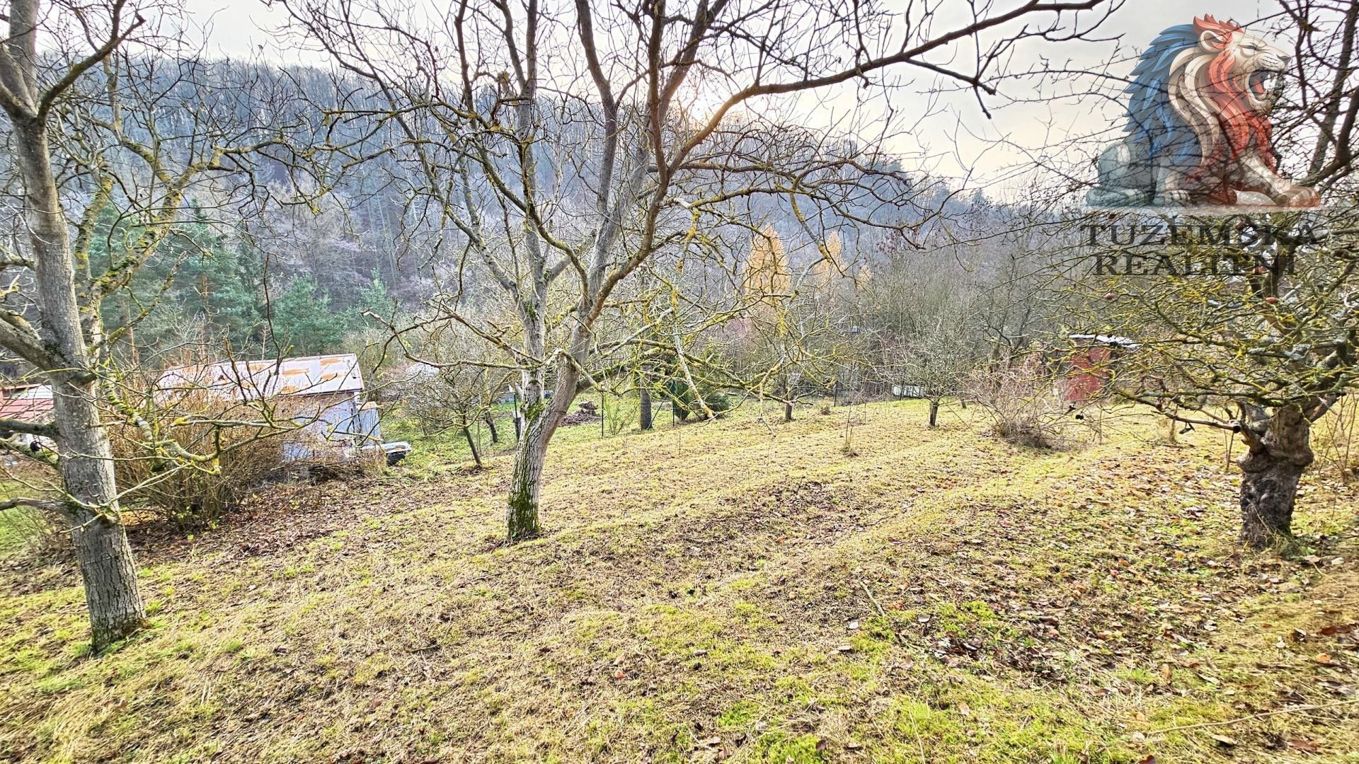 Prodej zahrada - Foltýnova, Brno, 415 m²