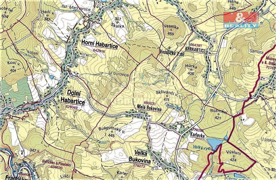 Les · Velká Bukovina, okres Děčín, Ústecký kraj - 4