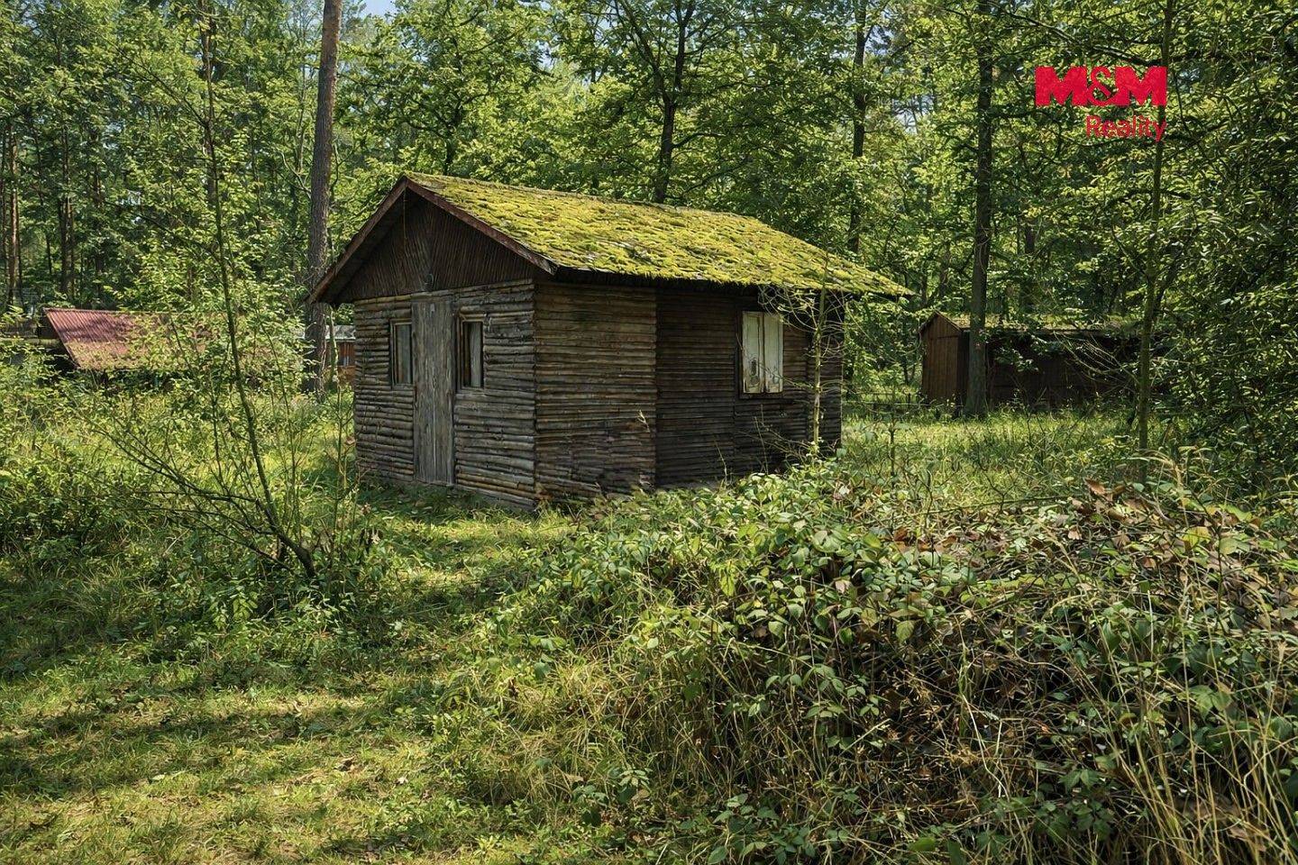 Prodej pozemek pro bydlení - Loučeň - Patřín, okres Nymburk - 5