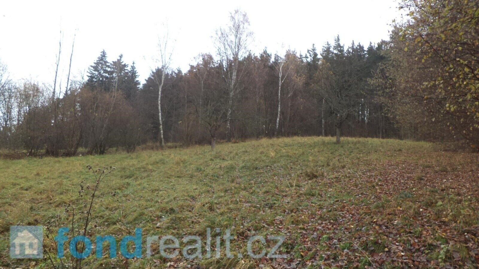 Zemědělské pozemky, Branišov, Zdíkov, 20 m²