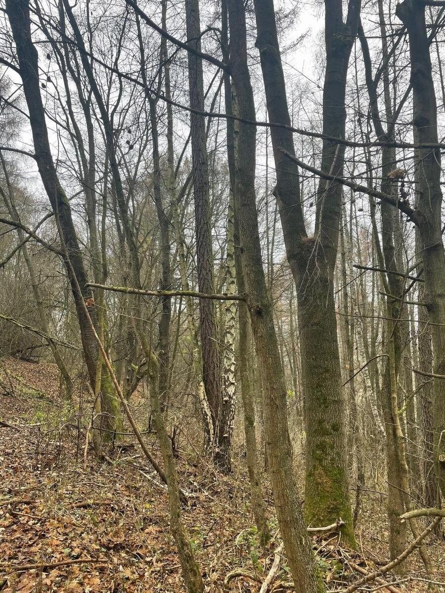 Prodej pozemek pro bydlení - Moravská Třebová, 571 01