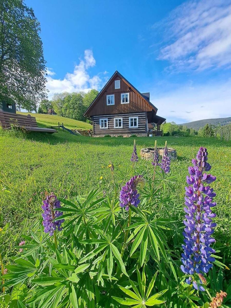 Chaty, Strážné, Královéhradecký kraj