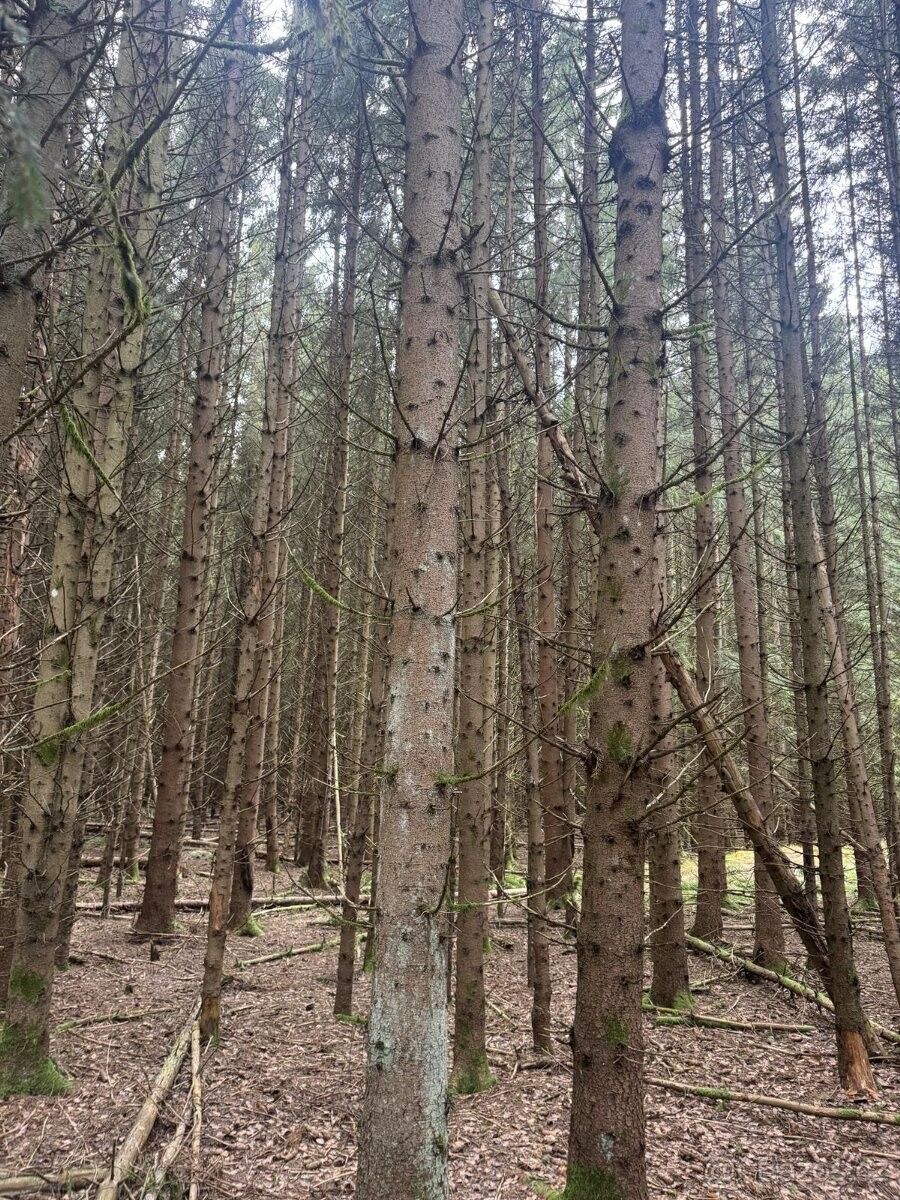 Prodej pozemek pro bydlení - Dvory nad Lužnicí, 378 08