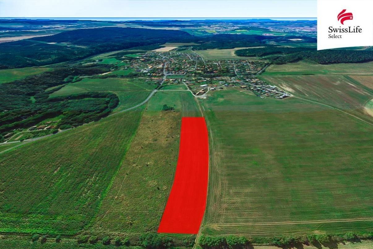 Prodej zemědělský pozemek - Druztová