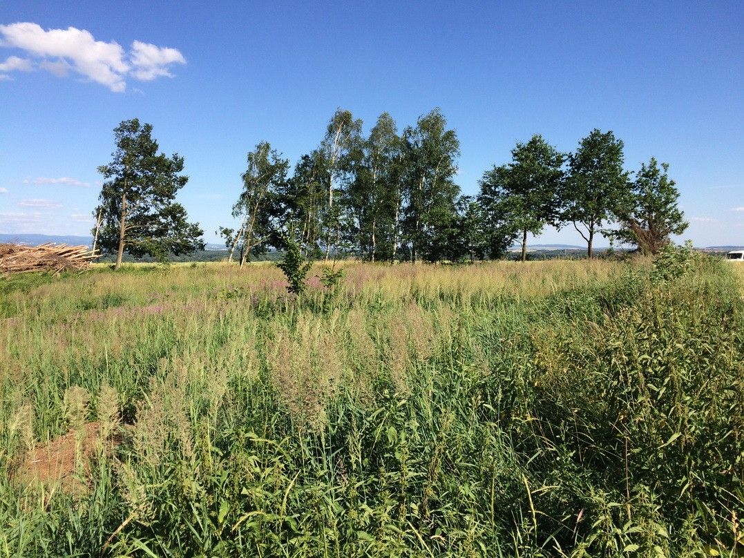 Pronájem zahrada - Dolany, Náchod, 2 200 m²