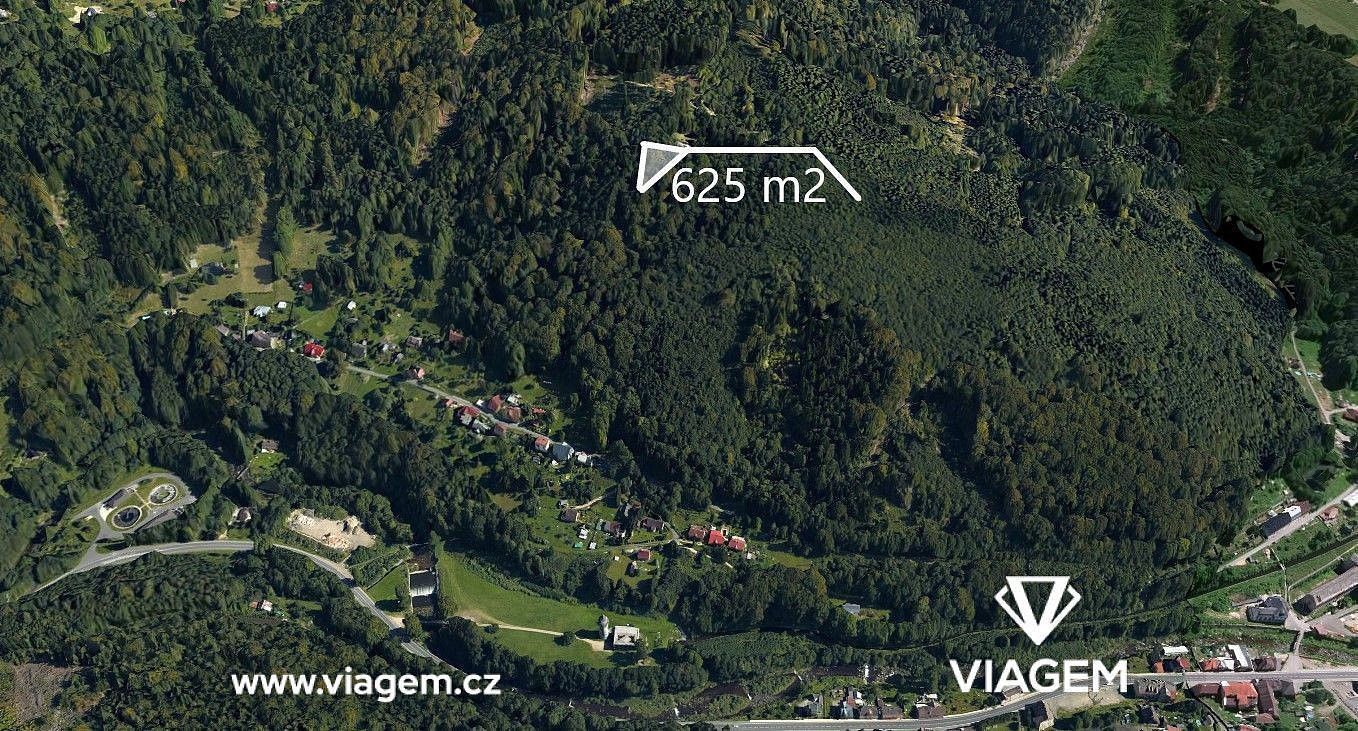Prodej les - Tanvald, okres Jablonec nad Nisou, Liberecký kraj - 1