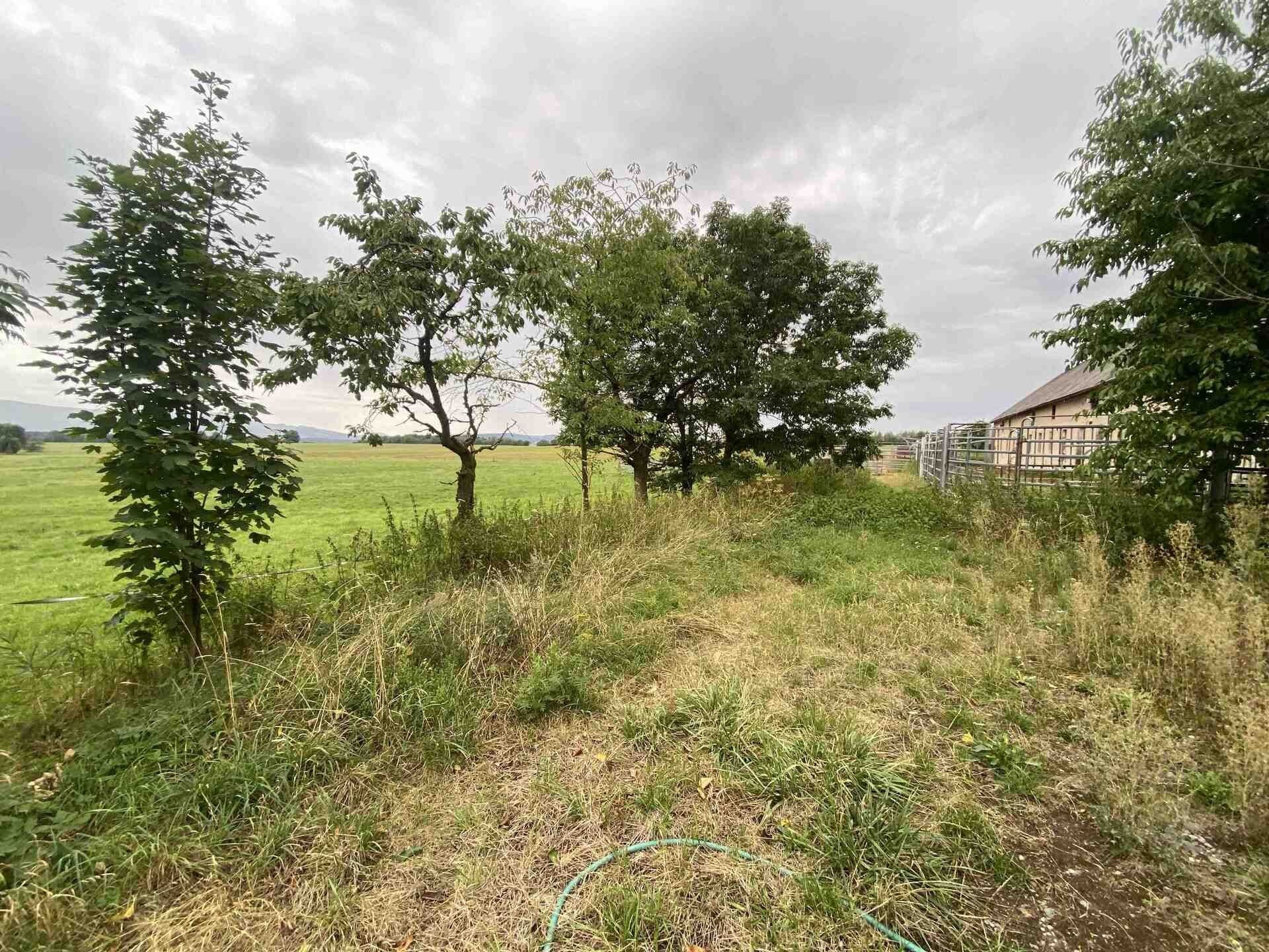 Prodej pozemek pro bydlení - Králíky, 4 246 m² - 5