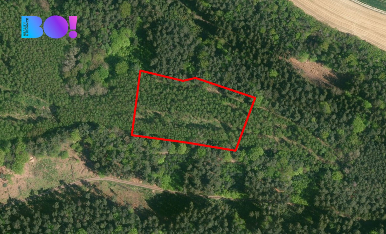 Prodej zemědělský pozemek - Doksy, 9 554 m² - 2