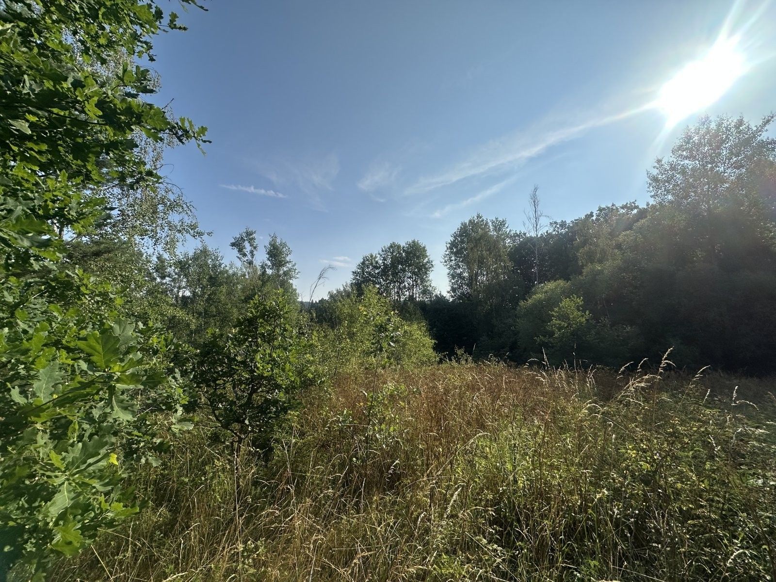 Pozemek · 3 546 m² · Kaplice Blansko - 3