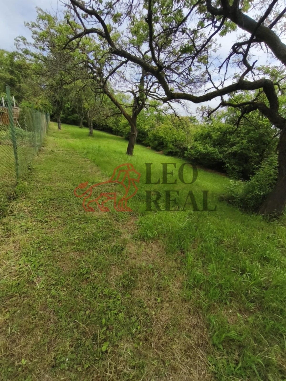 Zahrady, Slavkov u Brna, 595 m²