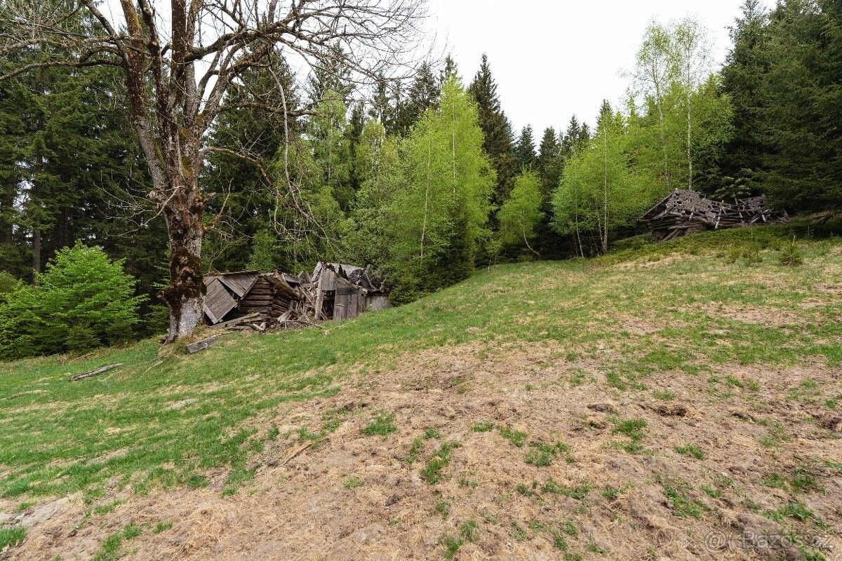 Prodej pozemek pro bydlení - Velké Karlovice, 756 06 - 5