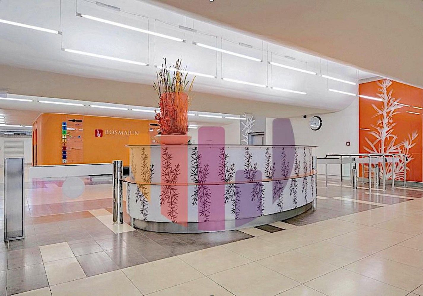 Kanceláře, Praha - Holešovice, okres Praha 7, Hlavní město Praha, 253 m² - 2