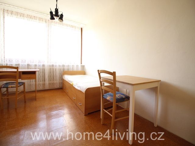 Pronájem byt 1+kk - Řadová, Brno, 20 m²