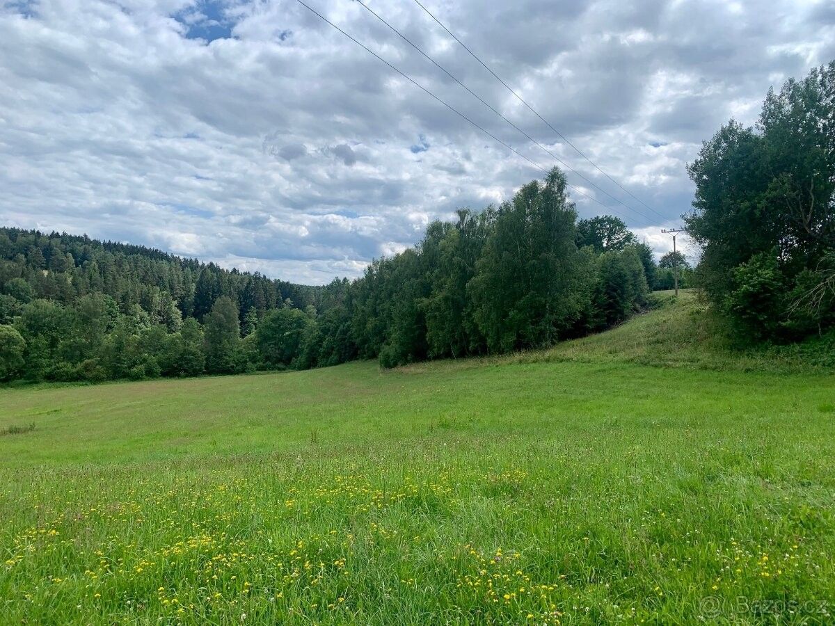 Prodej rodinný dům - Benešov nad Černou, 382 41