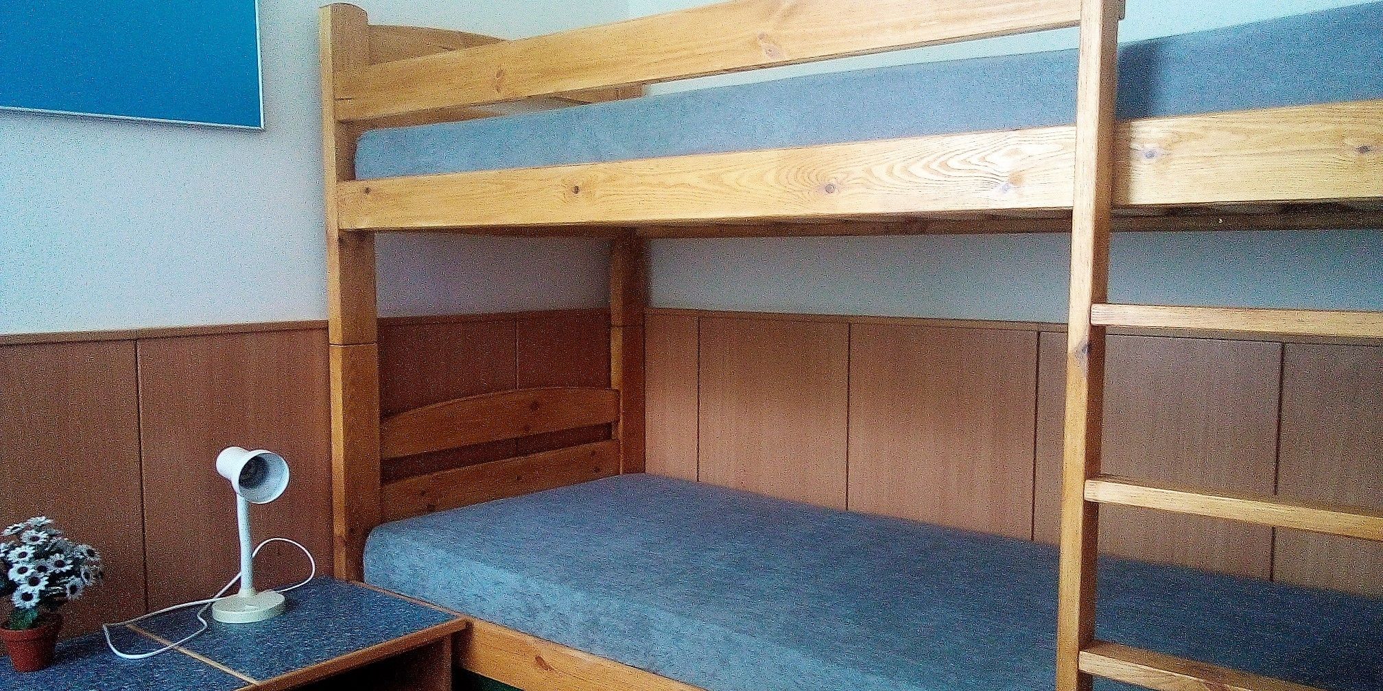 Prodej ubytovací zařízení - Černé Údolí, Benešov nad Černou, 33,5 m²