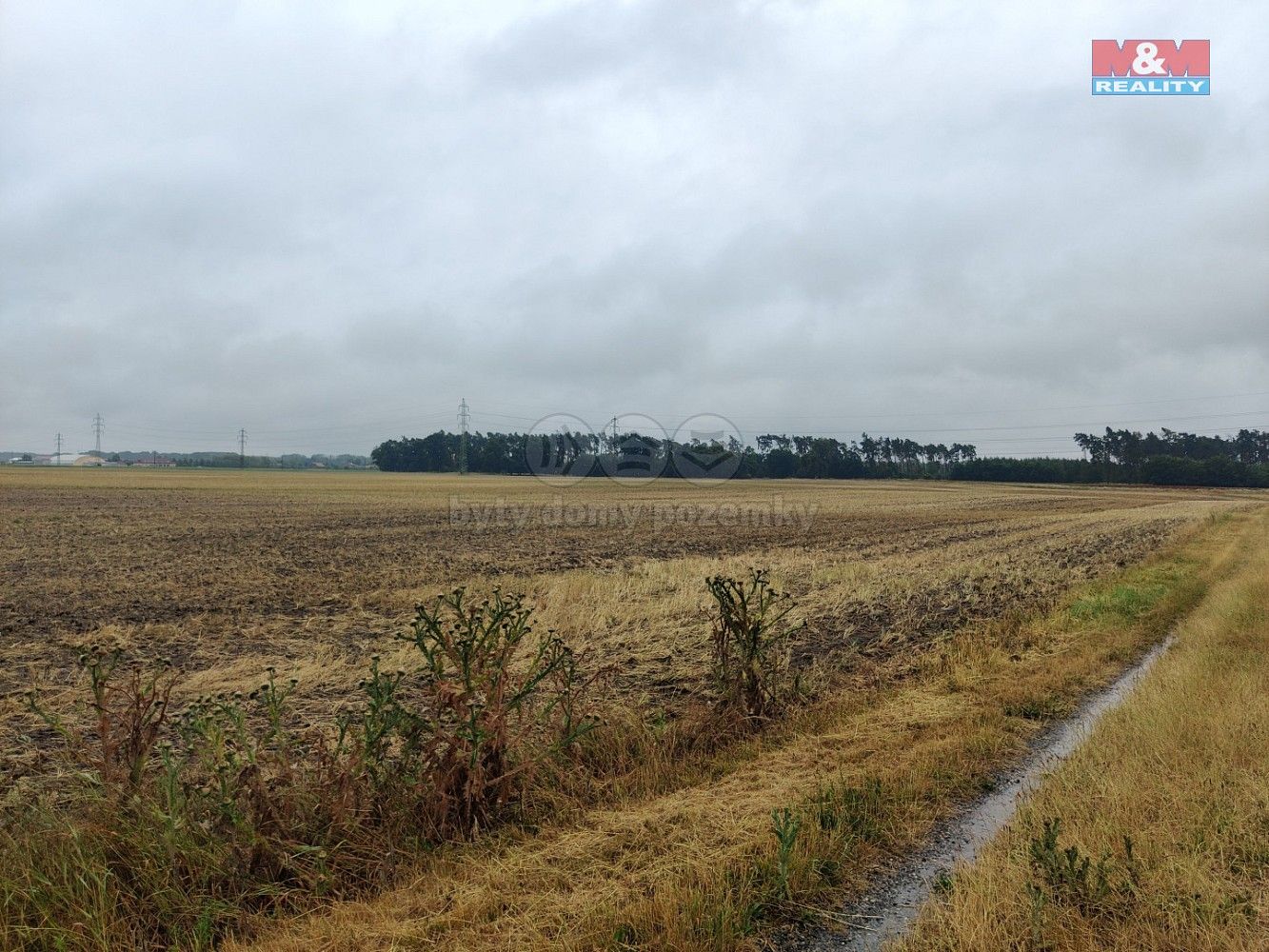 Zemědělský pozemek · Veletov, okres Kolín, Středočeský kraj - 3