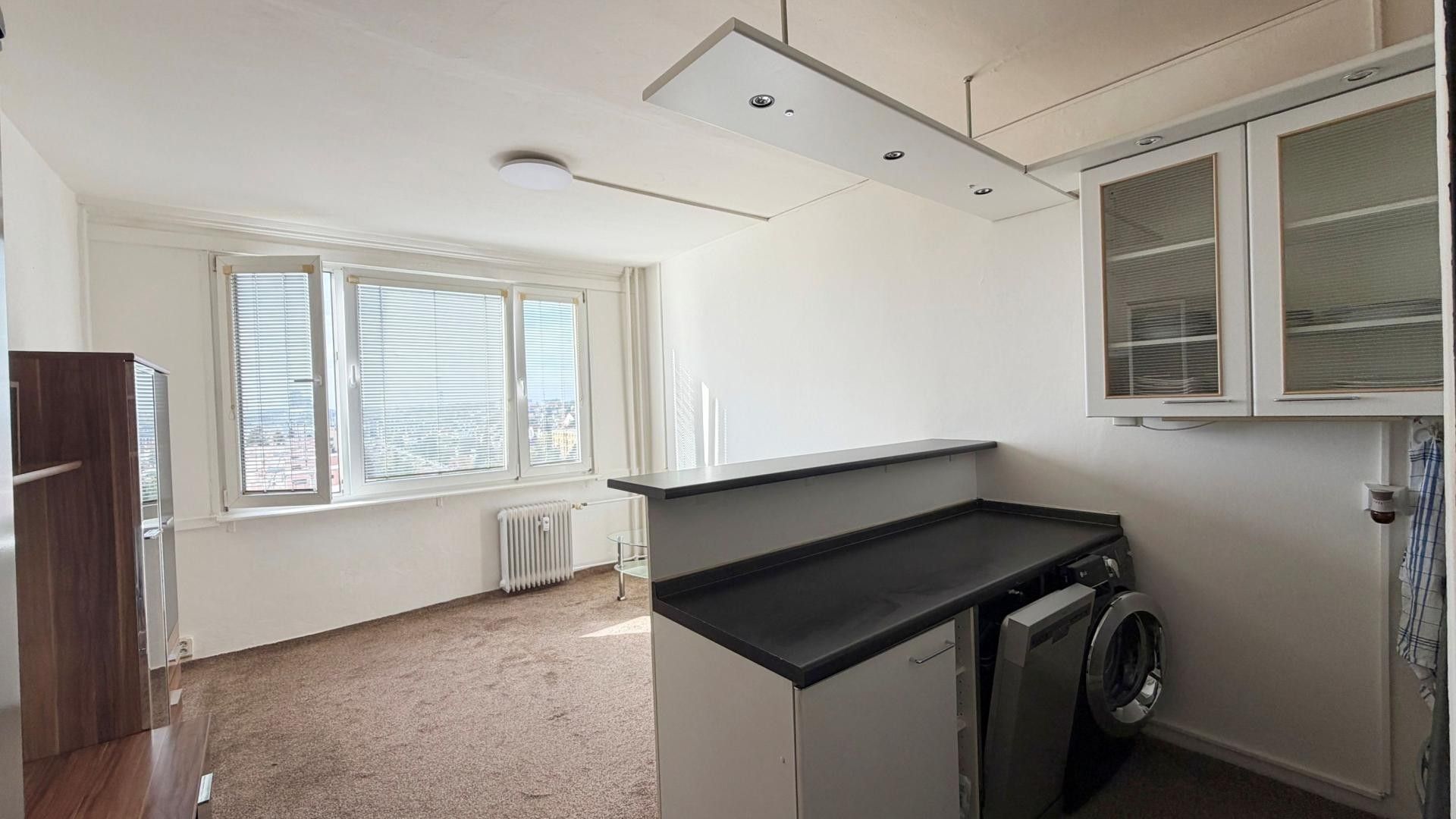 1+kk, Počernická, Praha, 24 m² - 1