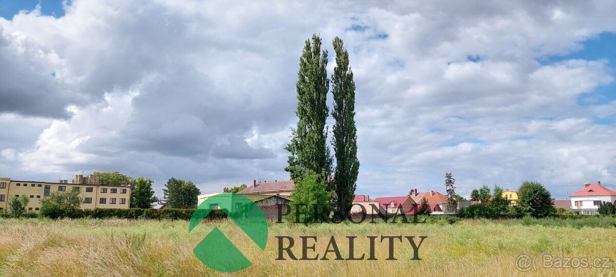 Prodej pozemek pro bydlení - Městec Králové, 289 03, 10 397 m²