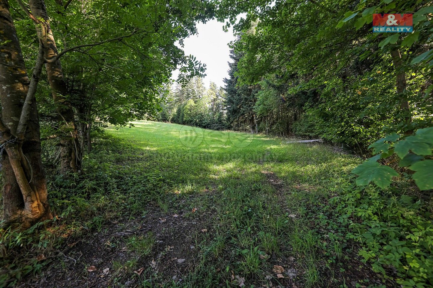 Prodej les - Petrovice u Sušice - Maršovice, okres Klatovy, Plzeňský kraj - 5