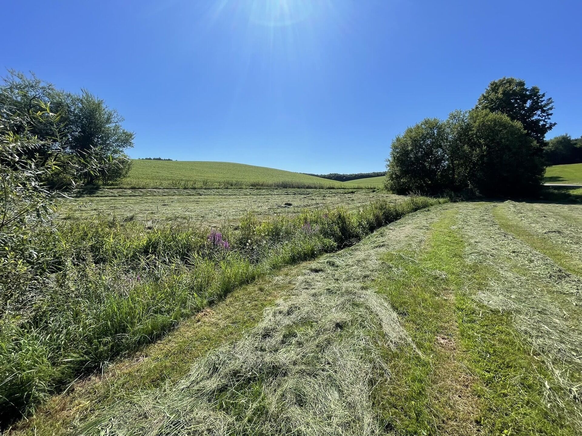 Prodej pozemek - Horní Dobrouč, Dolní Dobrouč, 6 m²