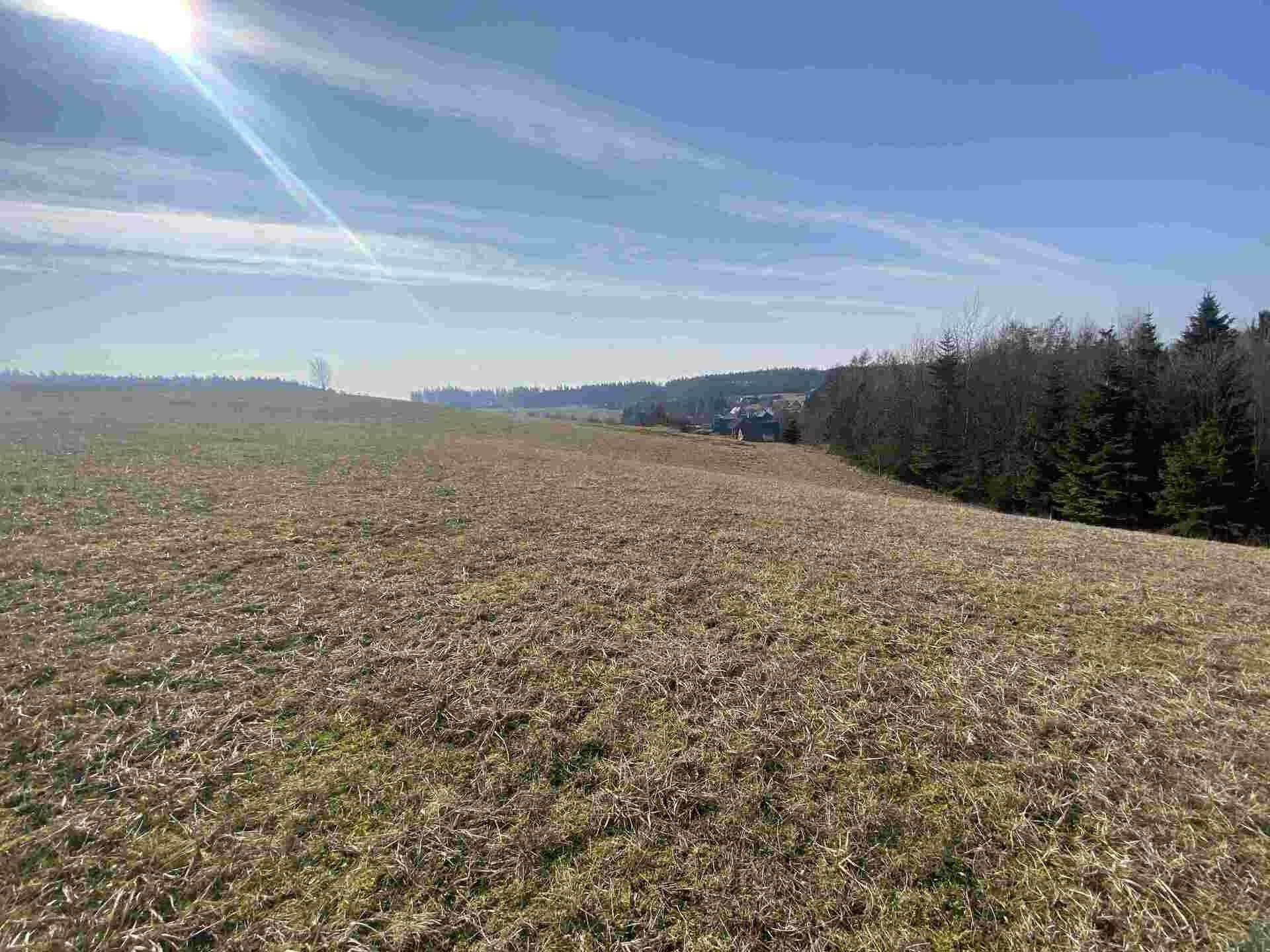 Prodej zemědělský pozemek - Syřenov, 14 m²