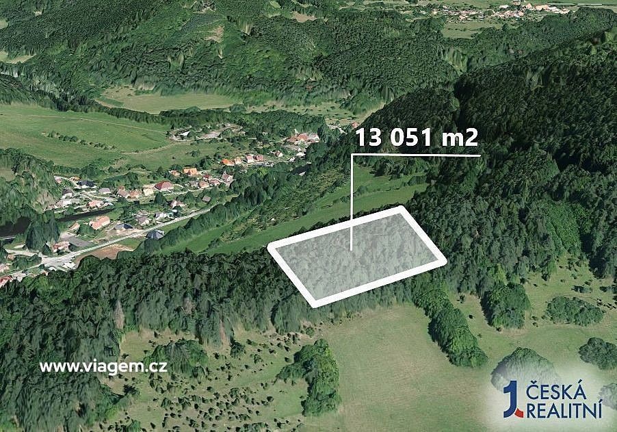 Prodej les - Koroužné, okres Žďár nad Sázavou, Kraj Vysočina - 2