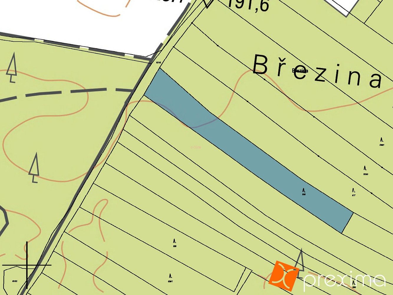 Les · Sokoleč, okres Nymburk, Středočeský kraj - 3