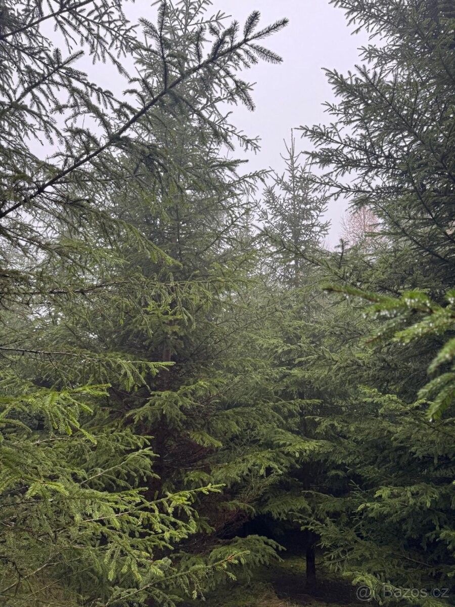 Prodej pozemek pro bydlení - Písek, 397 01