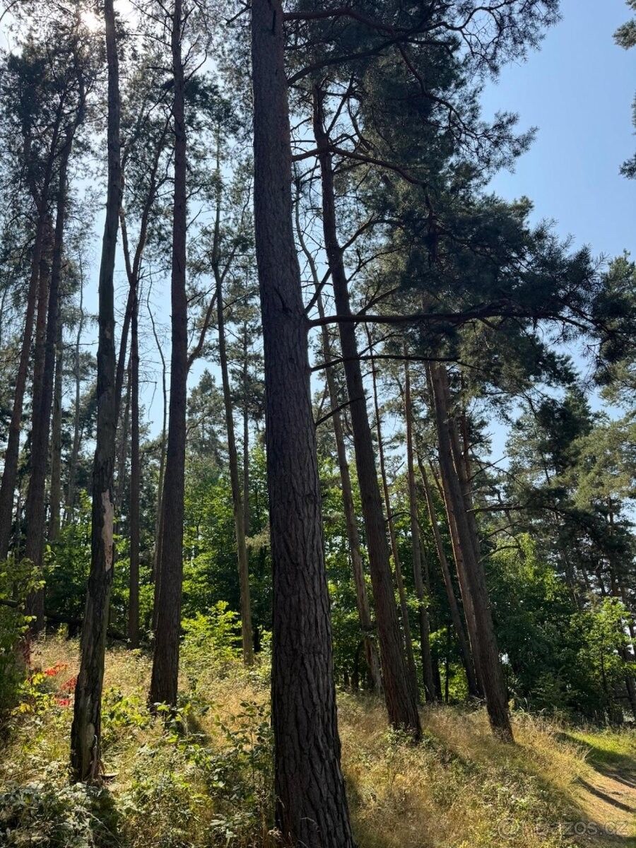 Prodej pozemek pro bydlení - Volenice, 387 16