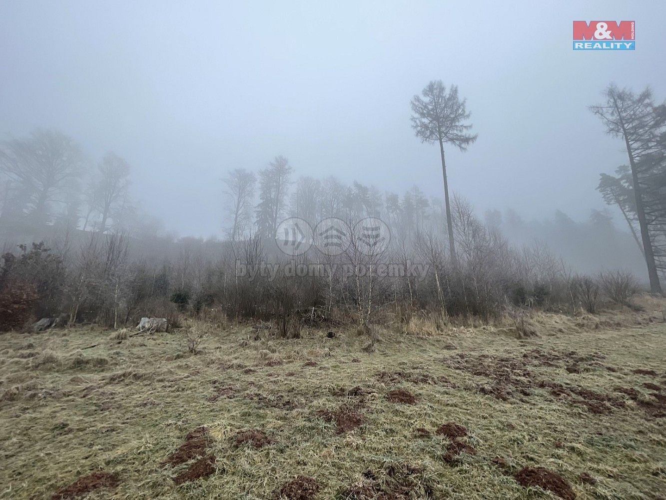 Prodej les - Stará Paka, okres Jičín, Královéhradecký kraj - 5