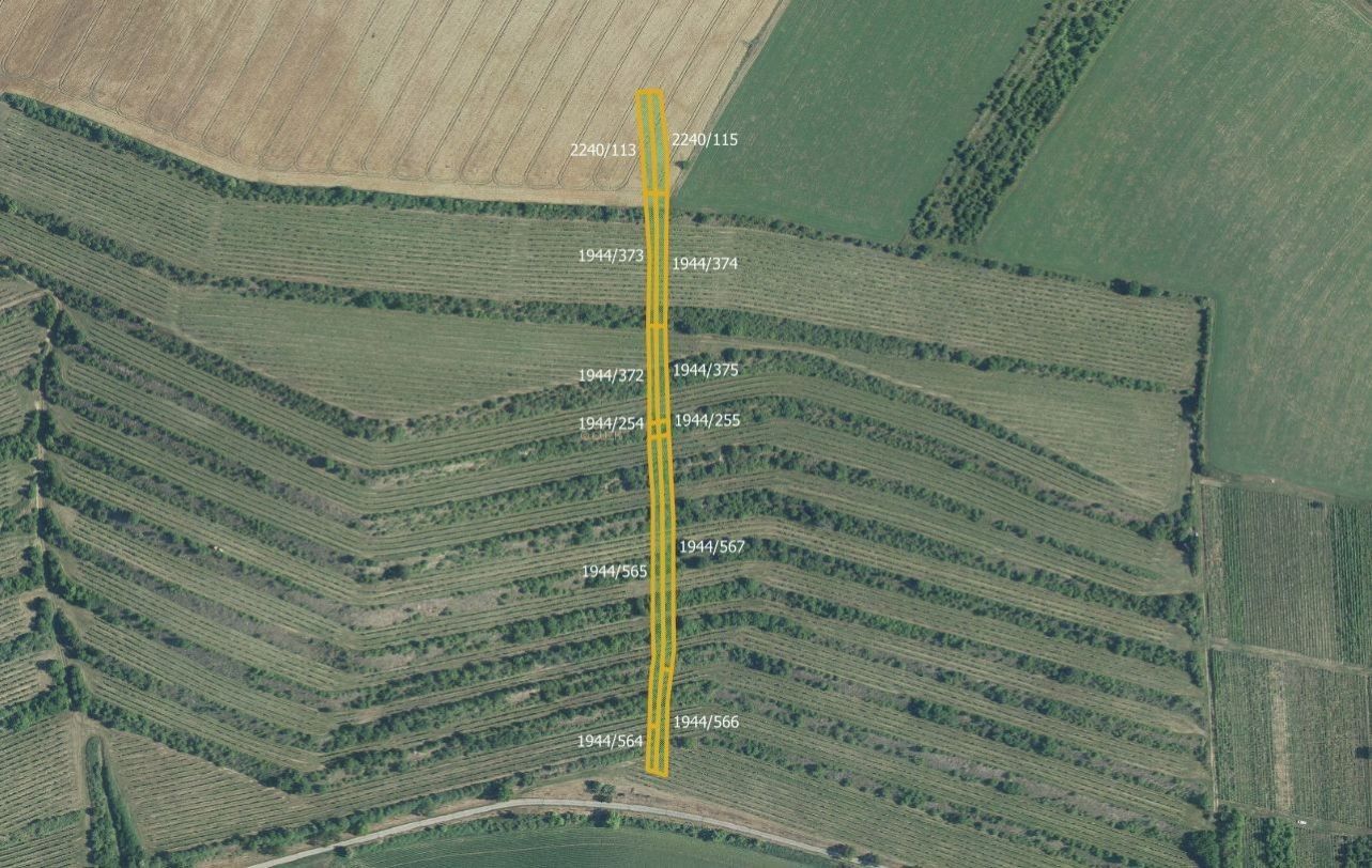 Zemědělské pozemky, Morkůvky