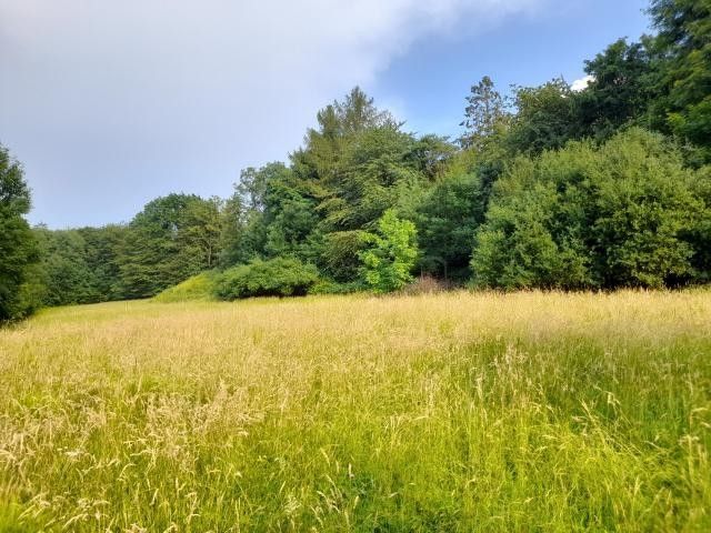 Zemědělské pozemky, Kopřivnice, 510 m²