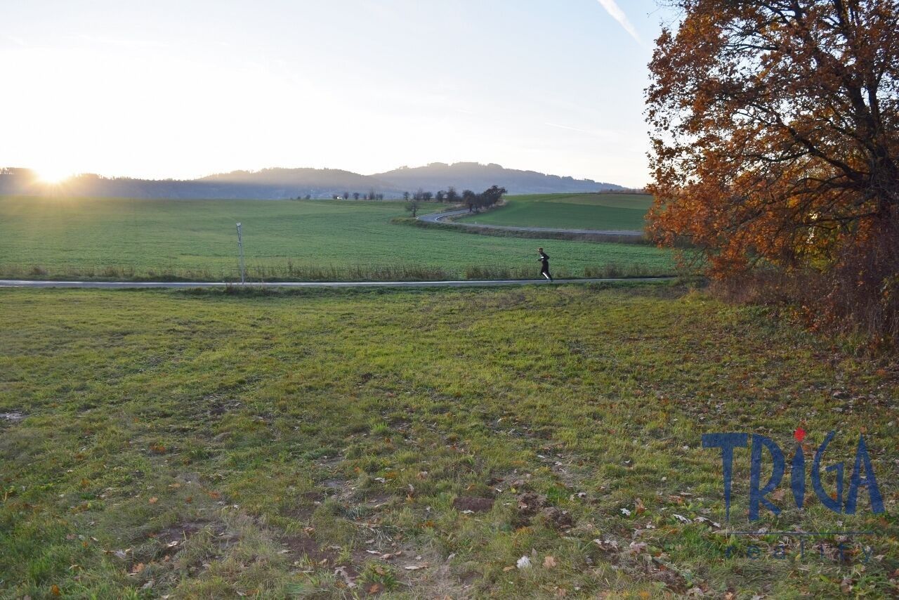 Prodej louka - Bílá Třemešná, 1 m²