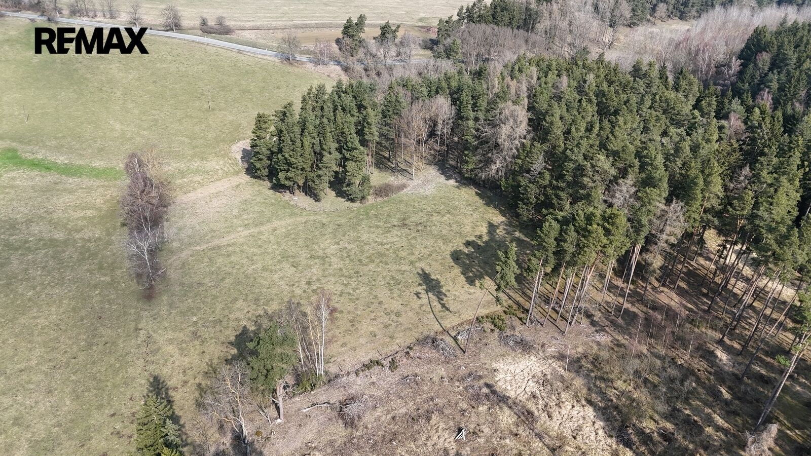 Prodej zemědělský pozemek - Lestkov, 19 771 m² - 5